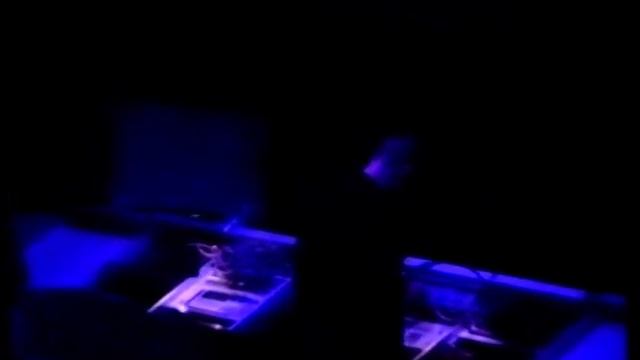 Kraftwerk Live 1991-11-15 Tourcoing, Théâtre Municipal (full Audience Video).