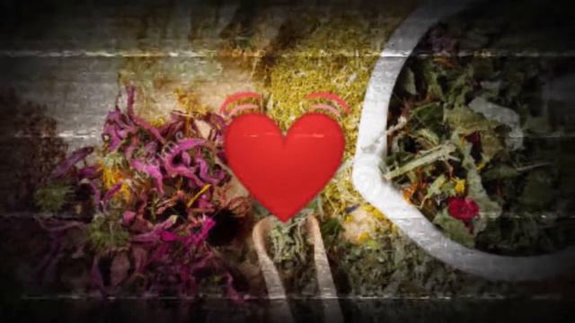 yuyo brujo canta Gonzalo Castro смотреть онлайн