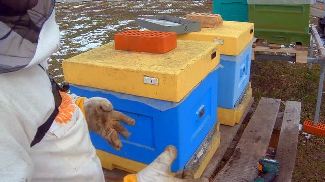 Пластины от клещей на Пасеке смотреть онлайн