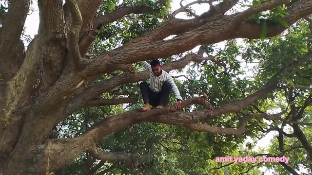 अमित यादव की new comedy video @BeediComedyChirkutBaba @Kattabhaiya23 #viral #trending#youtube смотреть онлайн