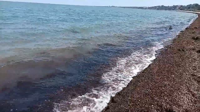 Погода в реальном времени в Тамани налаживается вода +22,5 воздух +20,6 смотреть онлайн