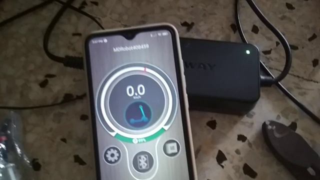 Segway Ninebot ES4 Internal Battery Issues? Charger Alternate Blinking Red Green. 100% Charged++