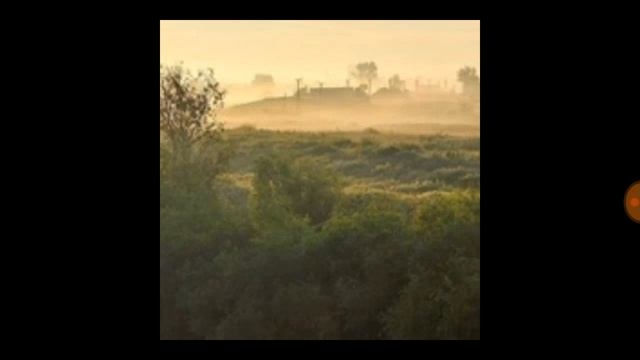 С.Есенин-Листья падают,листья падают...