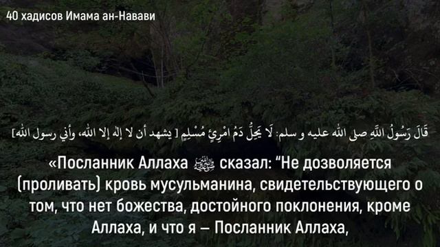 14. Не дозволяется (проливать) ĸровь мусульманина... смотреть онлайн