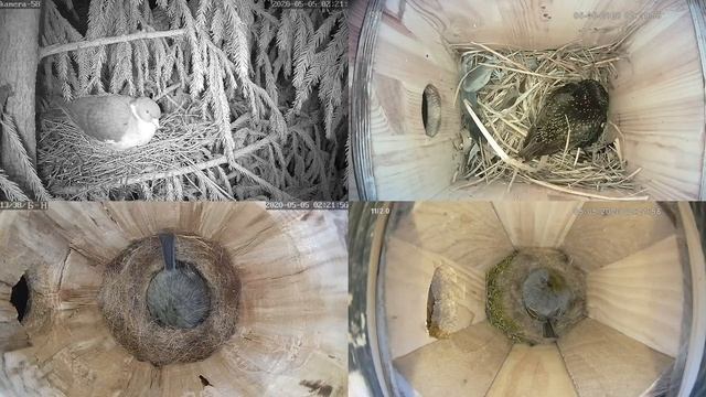 Онлайн-трансляция - 2020. Часть-2 с 4-5.05.2020 г.. Город Калуга смотреть онлайн