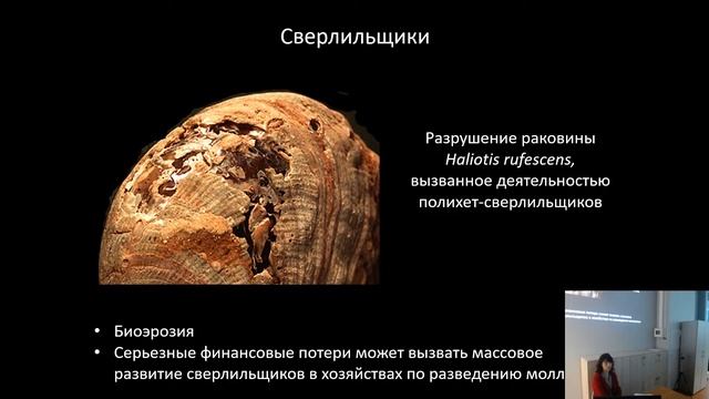 XXIII Морской семинар ЦМИ МГУ — «Симбиоз в тропических экосистемах» смотреть онлайн