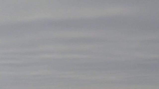 погода поменялась ⛅---☁️ голуби ?️ не потерялись . смотреть онлайн