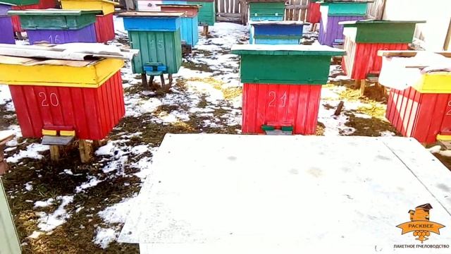 Тест улья из пенополистирола 2016-2020 год. Что же с ним случилось??? ????? #улейэппс#пенополистиро смотреть онлайн