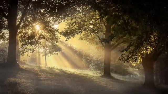 Сборник лучших мистических историй ЧАСТЬ 52 #мистика #страшилки2022 #историинаночь #аудиорассказ смотреть онлайн