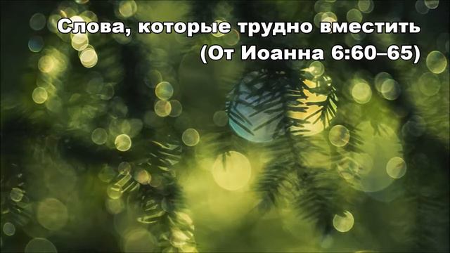 27.01.2014 Странные слова Иисуса (От Иоанна 6:60–71) смотреть онлайн