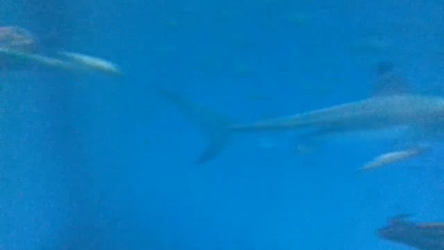 Путь солнечного луча. смотреть онлайн