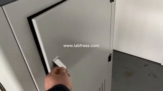 Пилотная вакуумная лиофильная сушилка Labfreez FD-10F TPE смотреть онлайн