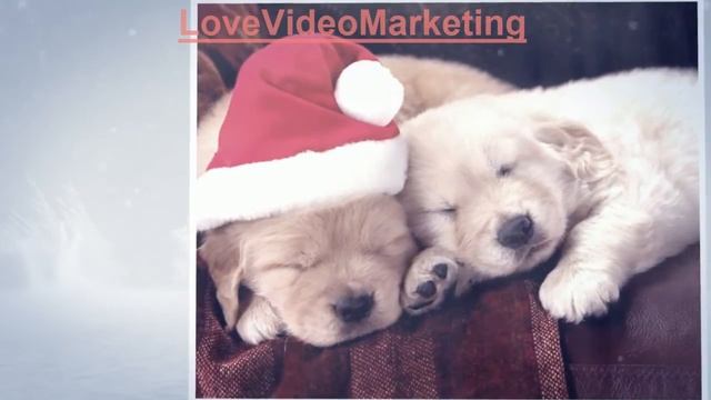 Christmas dreams Christmas story of Golden retrievers (Cinderella) смотреть онлайн