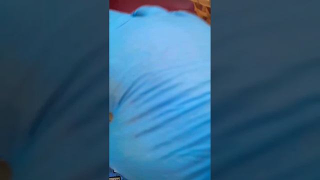 Куры в теплице.Отличный результат. смотреть онлайн