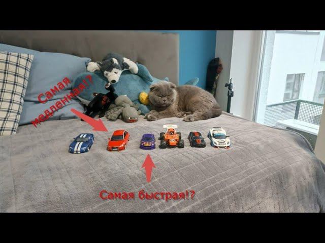 Какая САМАЯ БЫСТРАЯ машинка? Эксперимент смотреть онлайн