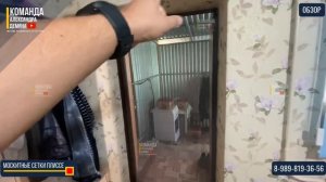 Москитные сетки плиссе на дверь! Москитная сетка на дверь от насекомых! Раздвижная Москитная сетка!