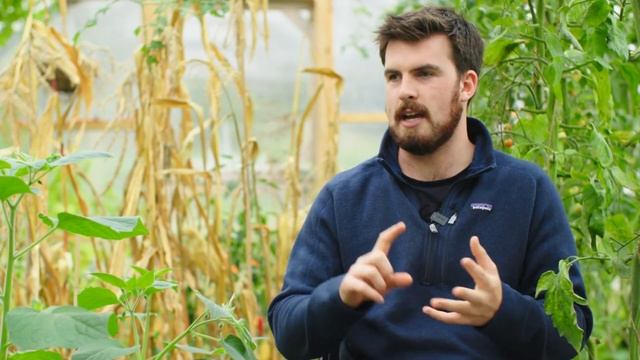 Сделайте ЭТО, если Вы хотите быть самодостаточным в овощах смотреть онлайн