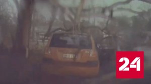 Забытый в магазине бумажник спас австралийца от удара молнии - Россия 24