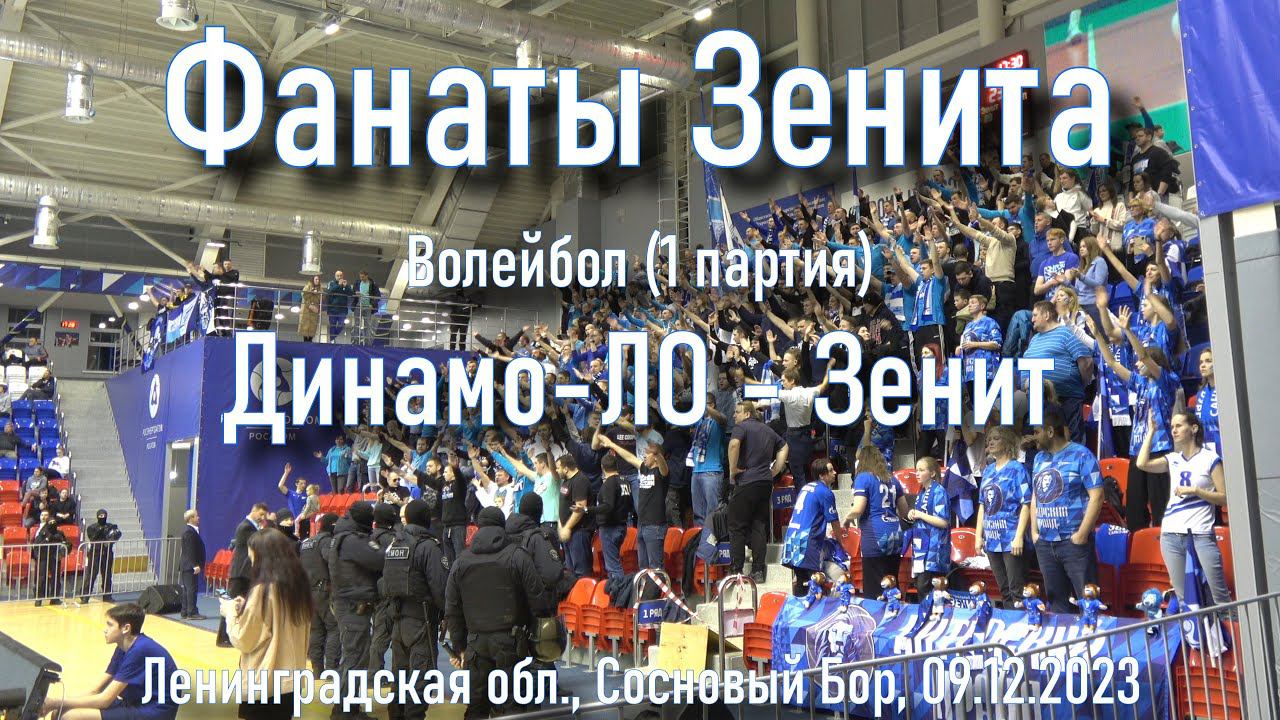 Поддержка на волейболе в 1 партии "Динамо-ЛО"-"Зенит" 09.12.2023. смотреть онлайн
