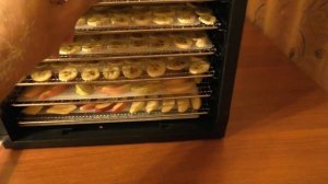 Как сушить бананы в электросушилке.mp4