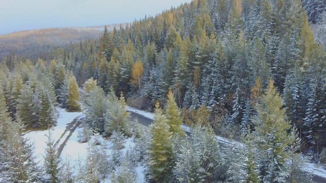 Первый снег, пока не растаяло... смотреть онлайн