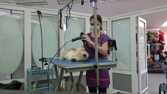 Сушка Лизоньки ? смотреть онлайн