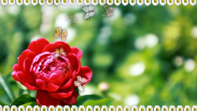 Я ЖЕЛАЮ ТЕБЕ СЧАСТЬЯ. RELAX THE BEST 🎧 🎼 🎹 смотреть онлайн