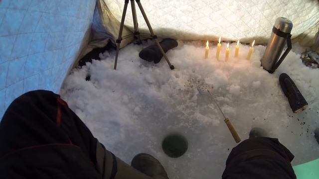 МАШКА ЗАЛЕЗЛА В ПАЛАТКУ И ВОТ ЧТО ИЗ ЭТОГО ВЫШЛО!!!!! Ловля леща! Рыбалка на безмотылку 2019. смотреть онлайн