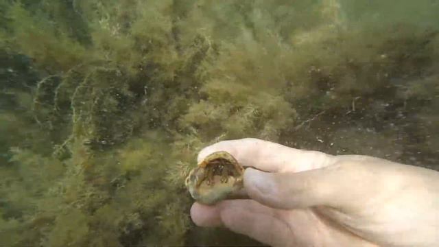 Отдых Геленджик смотреть онлайн