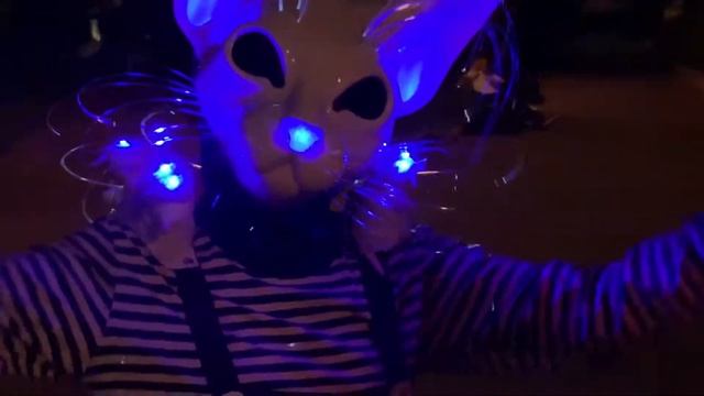 Театр светового перформанса Светлые лица - уличный театр - Коты Бродяги смотреть онлайн