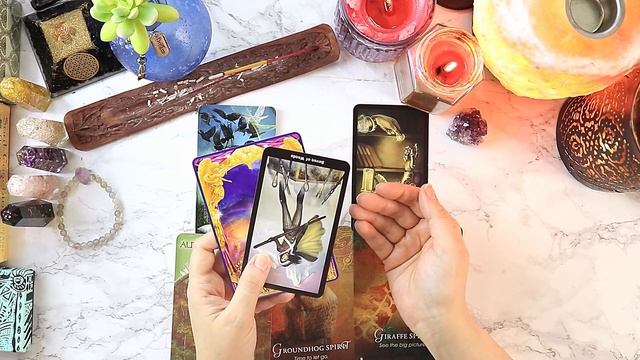 ? No contact - ?will they text / ☎️ will they call ? ? Pick a card tarot reading (Timeless) смотреть онлайн
