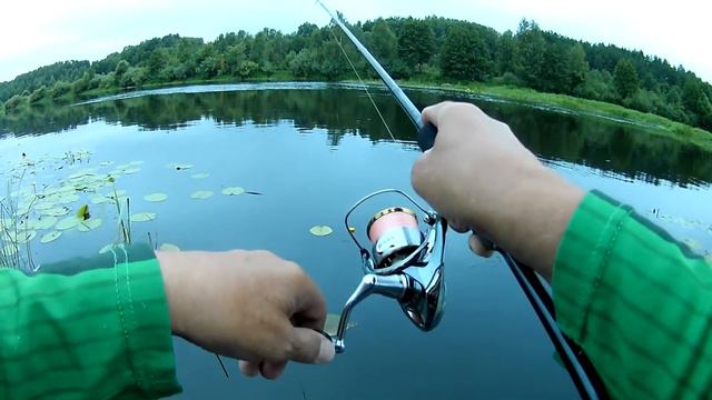 FHD0003 Летний брянский красавец окунь . Часть 2. Привет ростовскому другу . смотреть онлайн