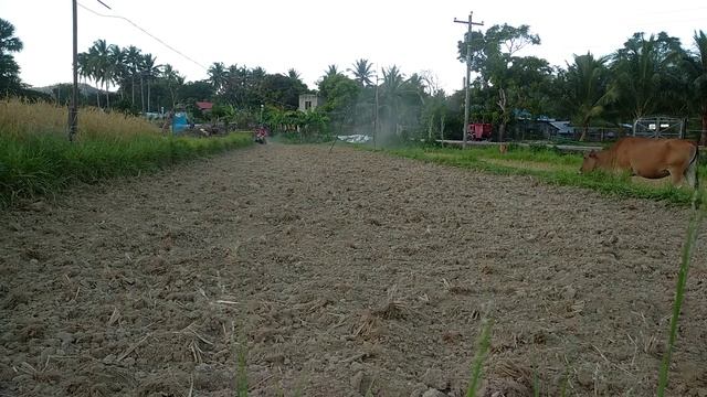 Kubota ZK1-75 dry land preparation. смотреть онлайн