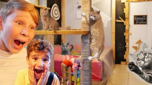 Лев и Глеб в доме кошек Funny Cats by Super Lev