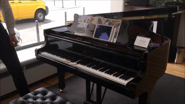 Automatic playing grand piano!? Visit to Stuttgart Steinway Gallery #1 - Handol Kim смотреть онлайн