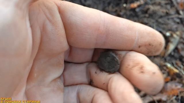 ПЕРВЫЕ НАХОДКИ ЭТОГО ГОДА смотреть онлайн