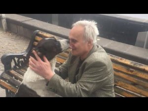 Дедуля потерял пса, а нашёл лишь через три года. Их встреча расторгала весь интернет, только взгляни