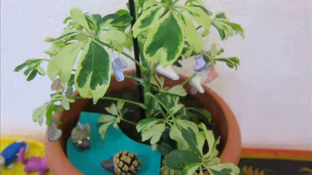 Выставка творческих работ "В стране Чукокколо" смотреть онлайн