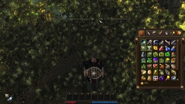 Risen: Land of Undead (Земля нежити) Крушение, дорога к лагерю Дона смотреть онлайн