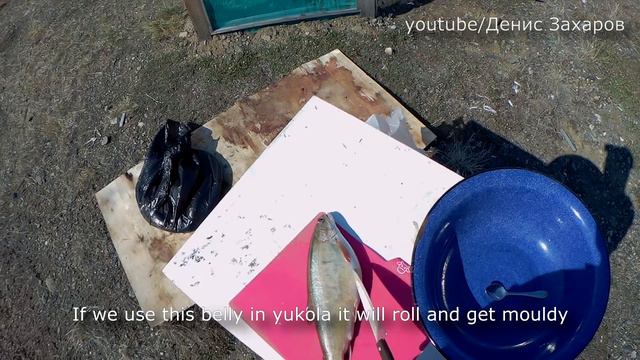 VERY UNIQUE: Char site fishing & MAKING Yukola / юкола. смотреть онлайн