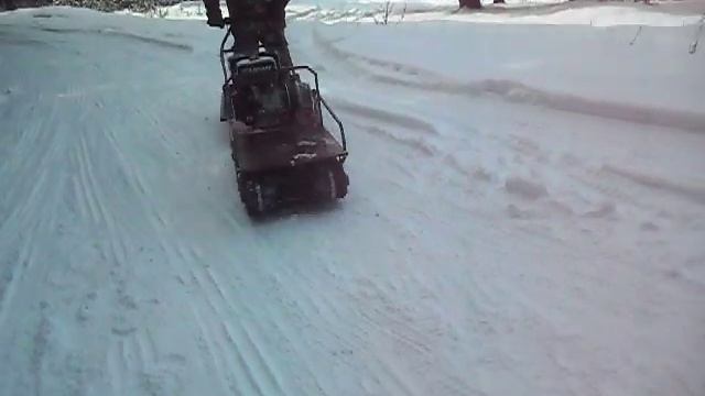 Мото-собака.AVI смотреть онлайн