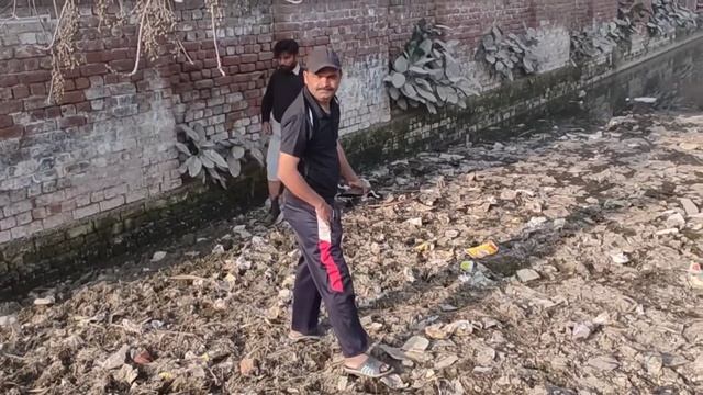 Ultimate Birds Hunting With Handmade Slingshot! смотреть онлайн