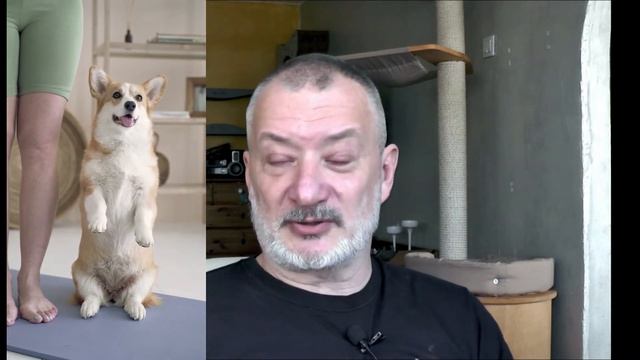 Сложности вопроса выбора. Хотим завести маленького друга. смотреть онлайн