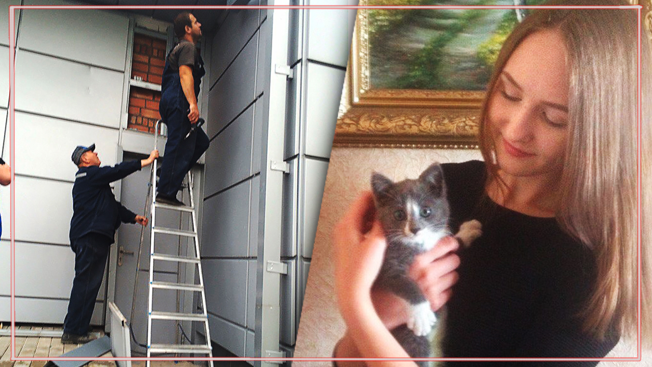 Он из последних сил просил о помощи! Девушка спасла котенка, просидевшего в ловушке 3 дня… смотреть онлайн