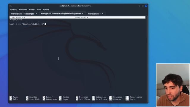 ? HACKING ÉTICO | Qué es NETCAT y cómo Utilizarlo en Kali Linux para Obtener una REVERSE SHELL ? смотреть онлайн