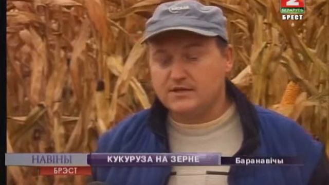 КУКУРУЗА НА ЗЕРНЕ смотреть онлайн
