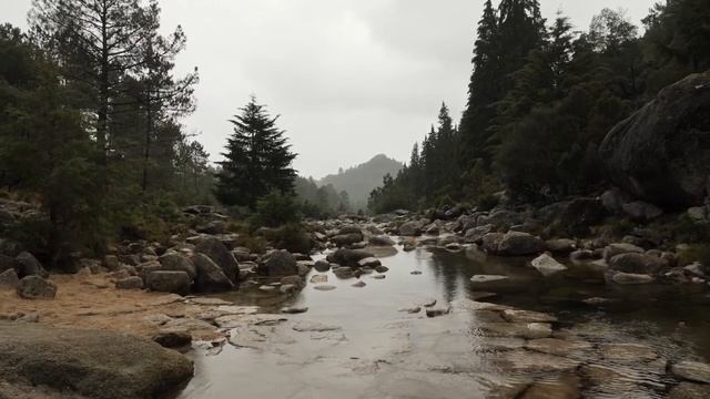 Красота Музыки 