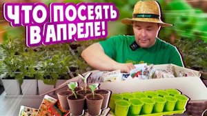 ЧТО ПОСЕЯТЬ В АПРЕЛЕ!
