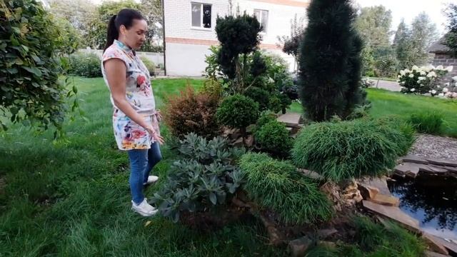 ОБЗОР АЛЬПИЙСКОЙ ГОРКИ. Какие растения объединены и как за ними ухаживать? смотреть онлайн