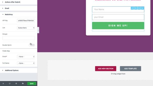 How to Connect WordPress to MailChimp With Elementor смотреть онлайн
